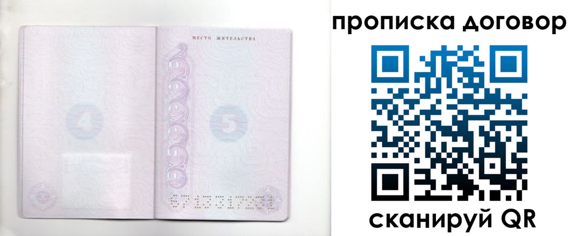 купить прописку в Ельне