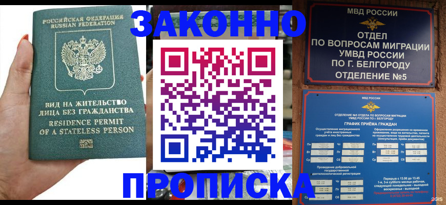 прописка для кредита в Ельне